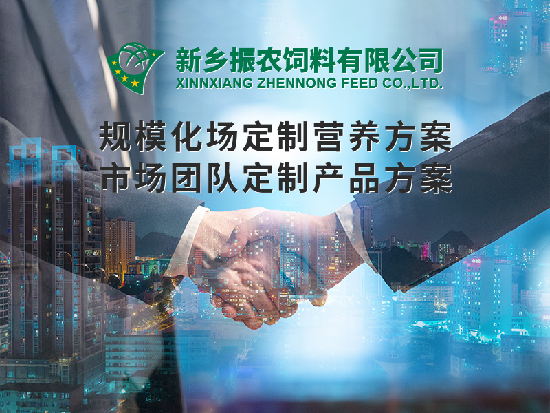 規(guī)?；喼?></div>
                                    <span id=